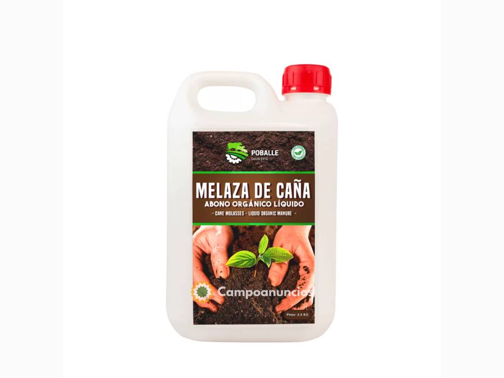 Melaza de Caña y Remolacha Garrafa 2,5KG en Barcelona