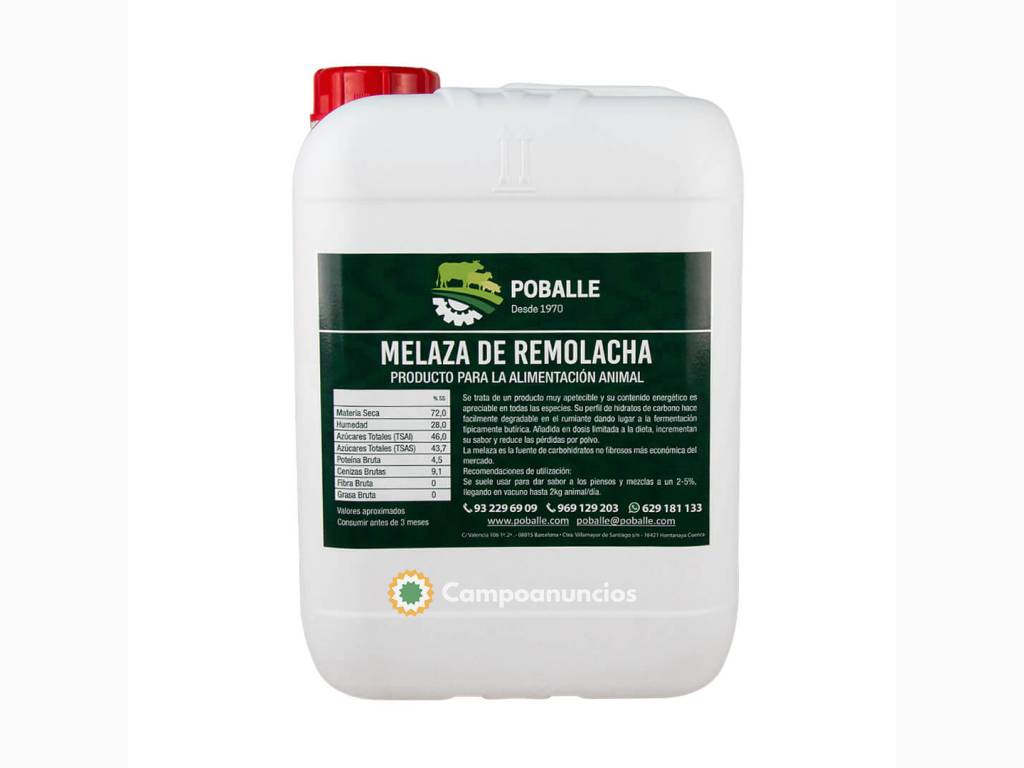 MELAZA DE REMOLACHA GARRAFA DE 12KG en Cuenca