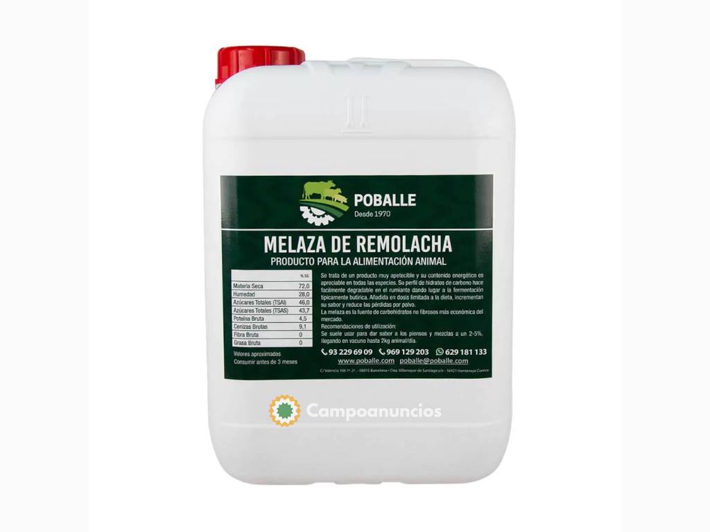 Melaza de Remolacha Garrafa de 12KG en Barcelona