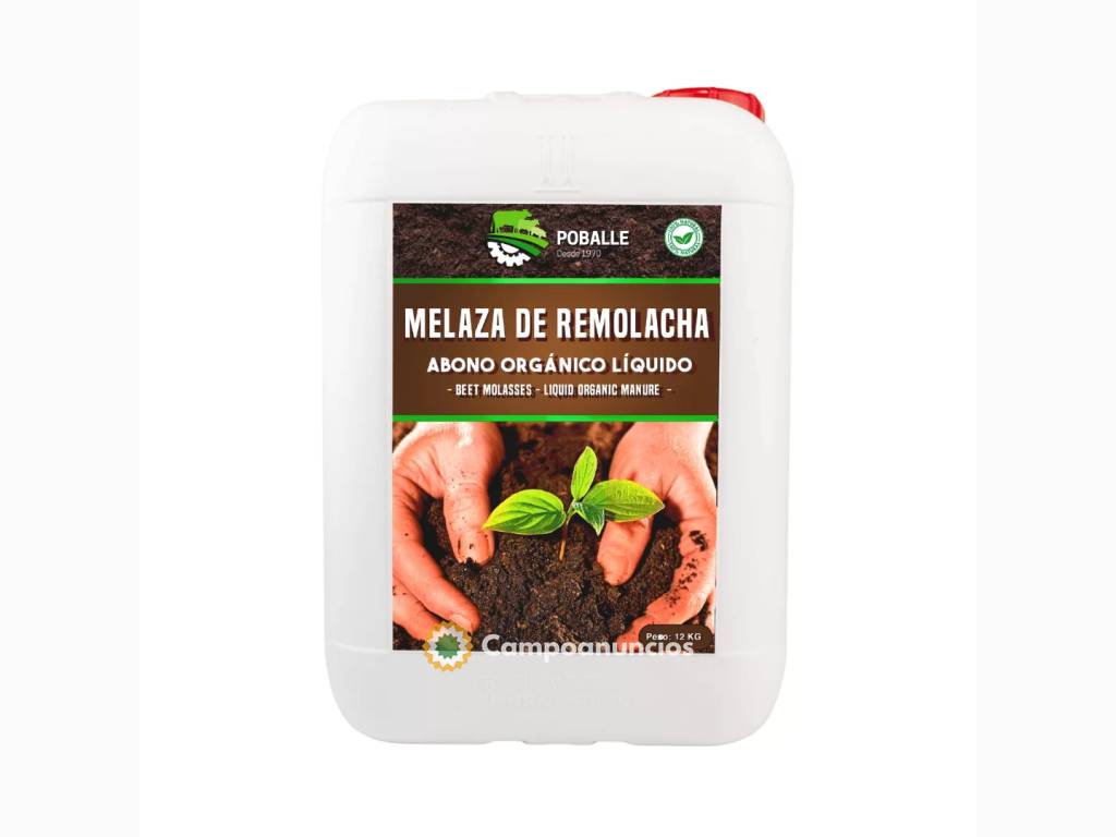 Melaza de Remolacha Garrafa de 12KG en Barcelona