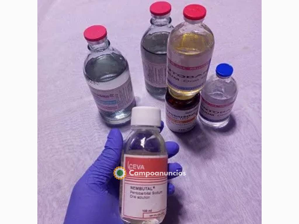 nembutal a la venta en españa en A Coruña