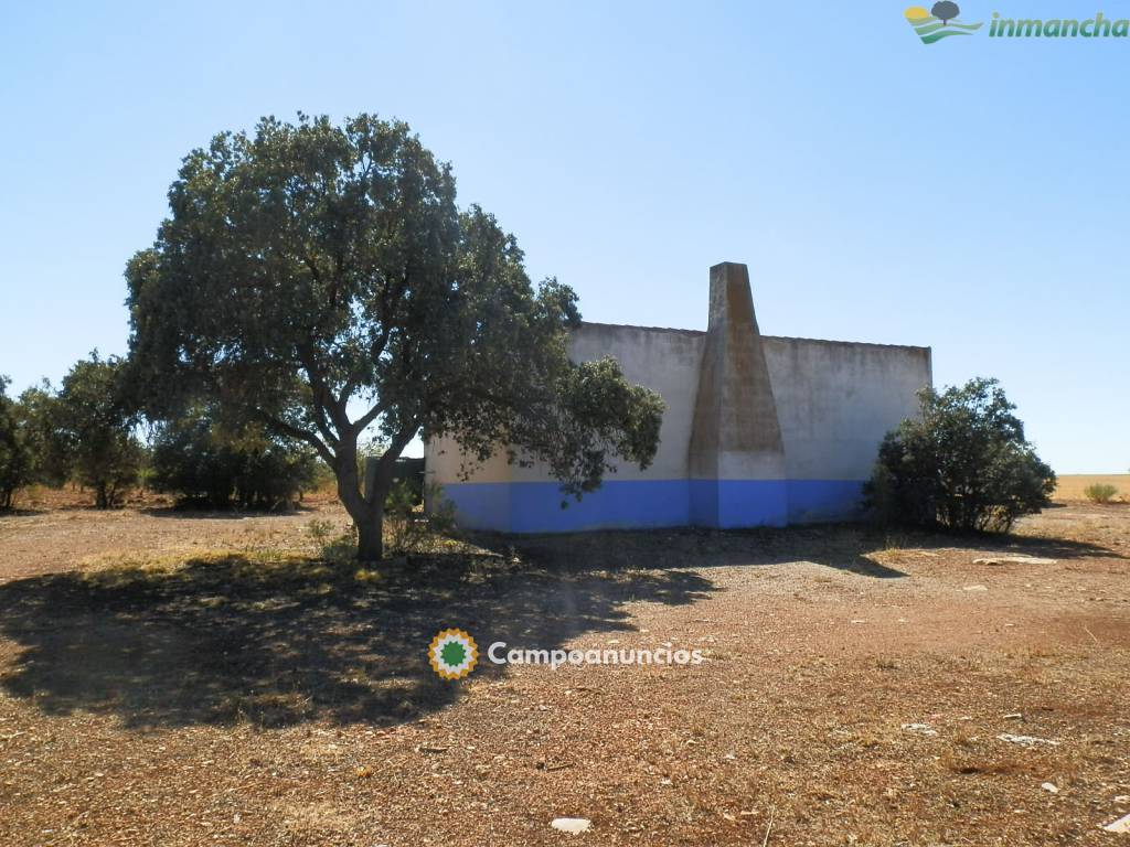 Ocasion 20 ha. Recreo en Villarrobledo en Albacete
