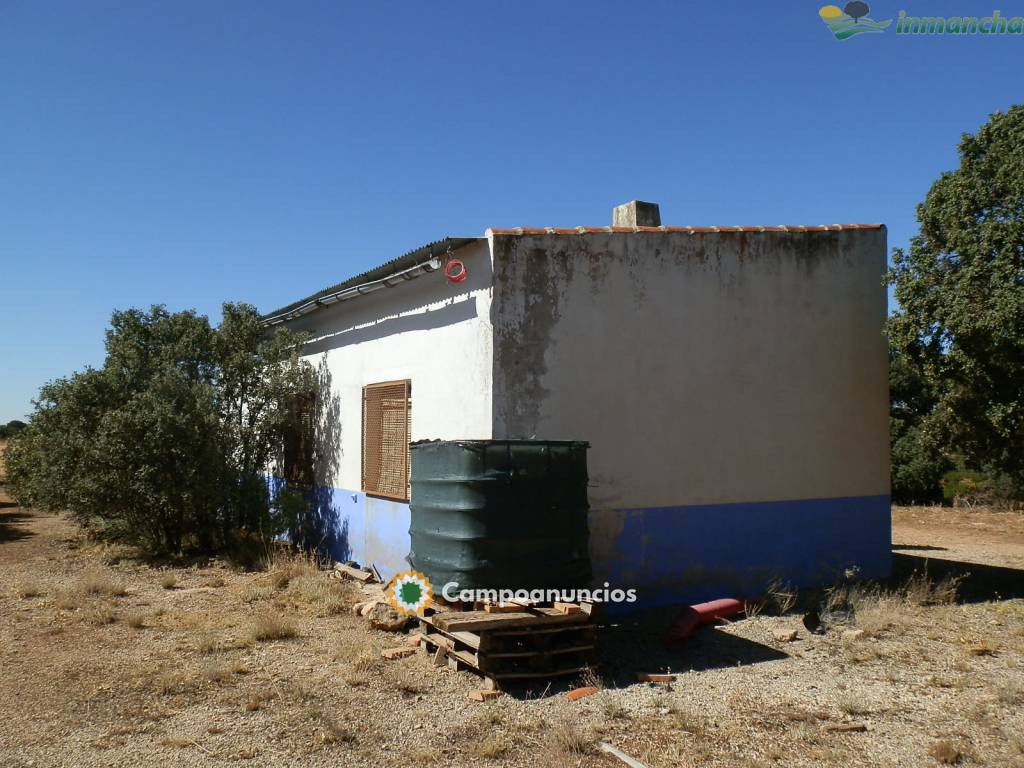 Ocasion 20 ha. Recreo en Villarrobledo en Albacete