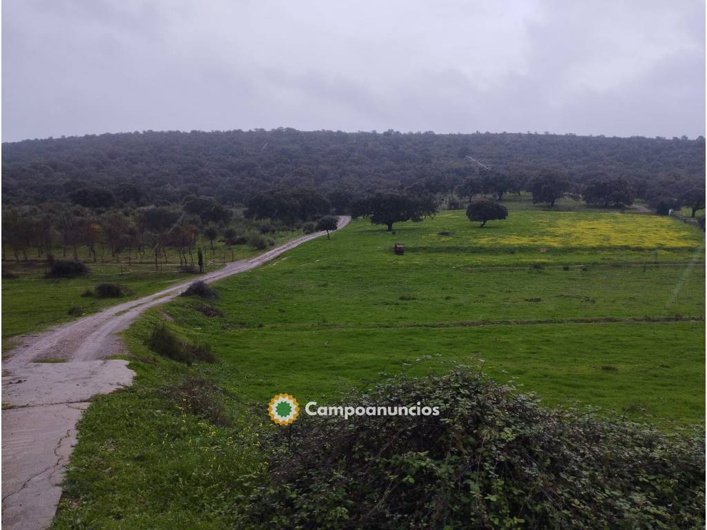 SE ALQUILA FINCA PARA PASTOS  en Cáceres