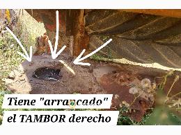 Segadoras Acondicionadoras para DESPIECE
