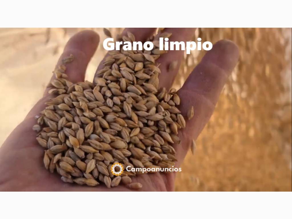 Separador de impurezas de semillas en Albacete