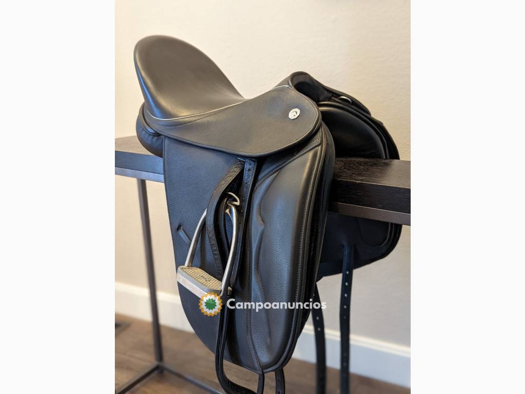 Silla de doma DT Saddlery Butterfly  en Córdoba