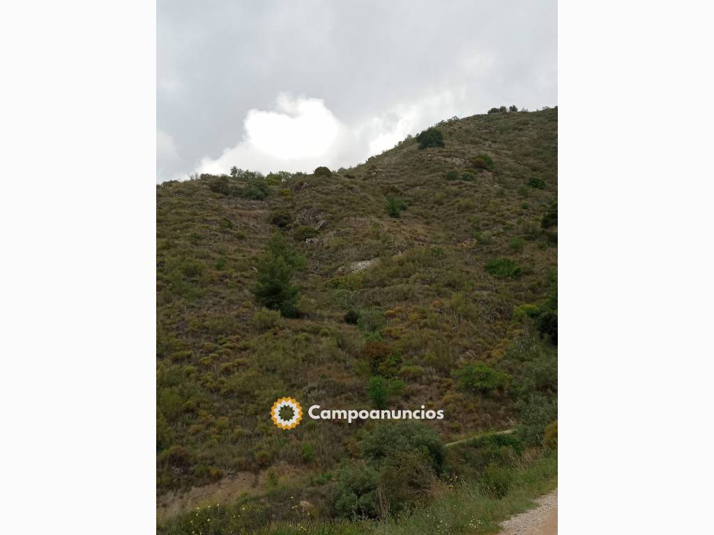 Terreno con buenas vistas en Granada