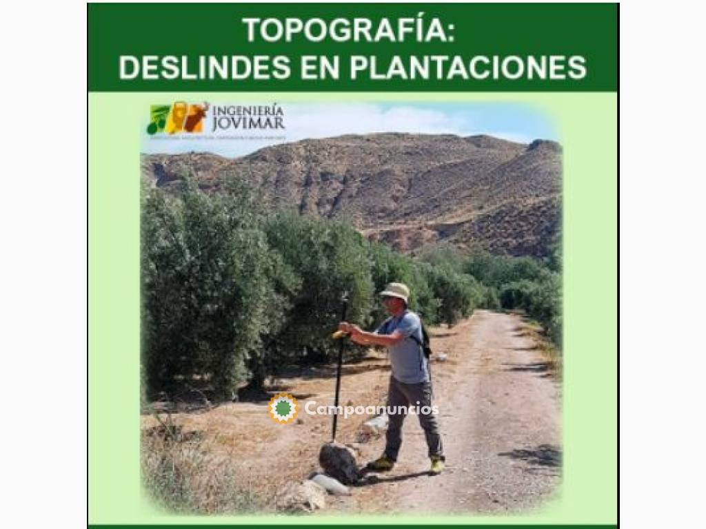 Topografía deslindes en plantaciones en Granada
