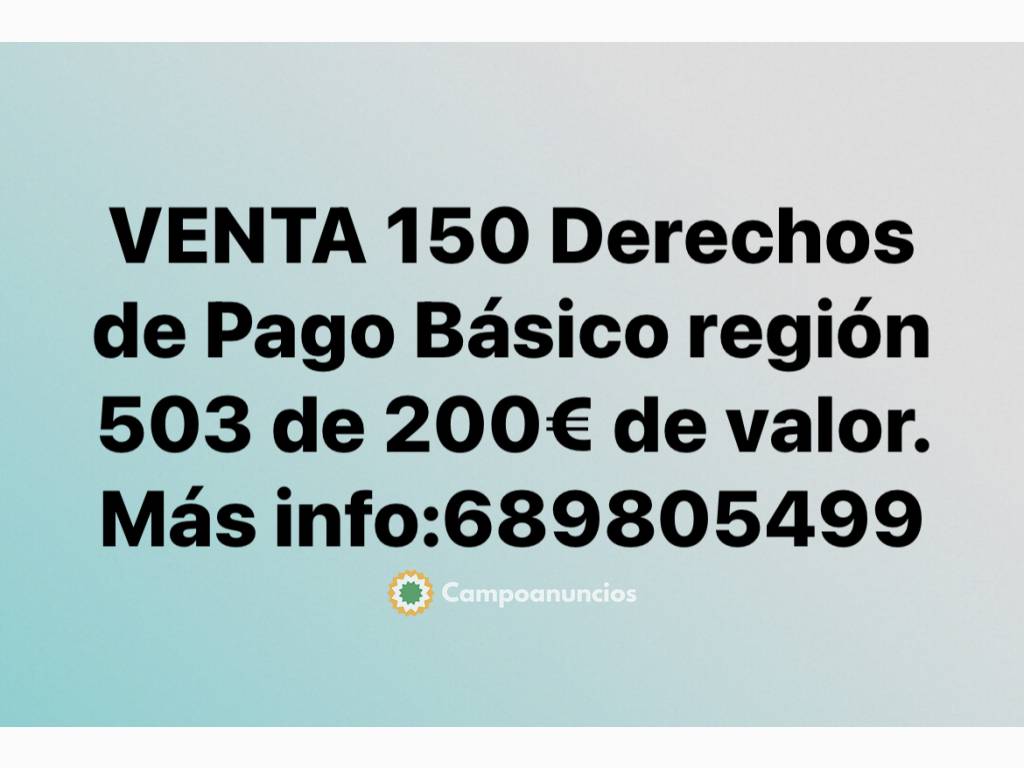 VENTA 150 Derechos de Pago Básico R.503 en Cuenca