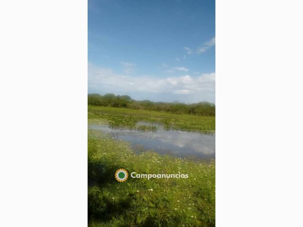 Venta de campos en Argentina  en Barcelona