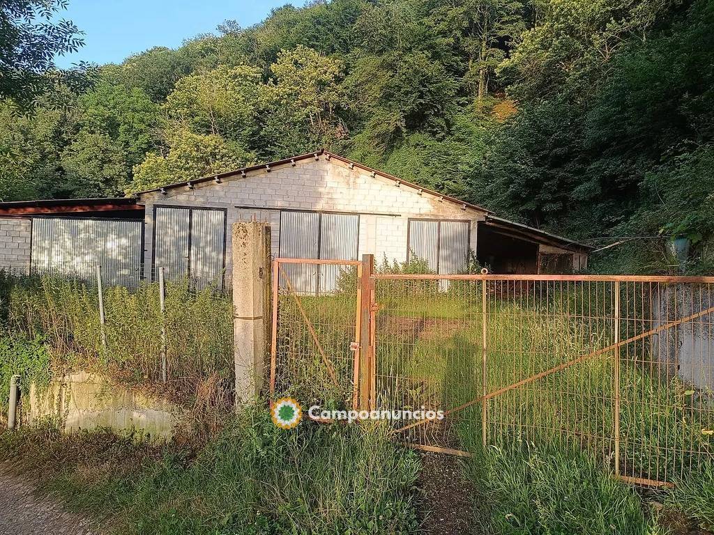 Venta de nave en calle Carraluz de 750 m en Asturias