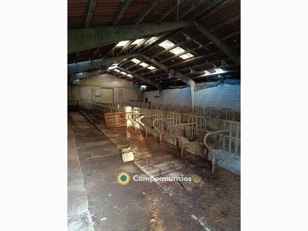 Venta de nave en calle Carraluz de 750 m en Asturias