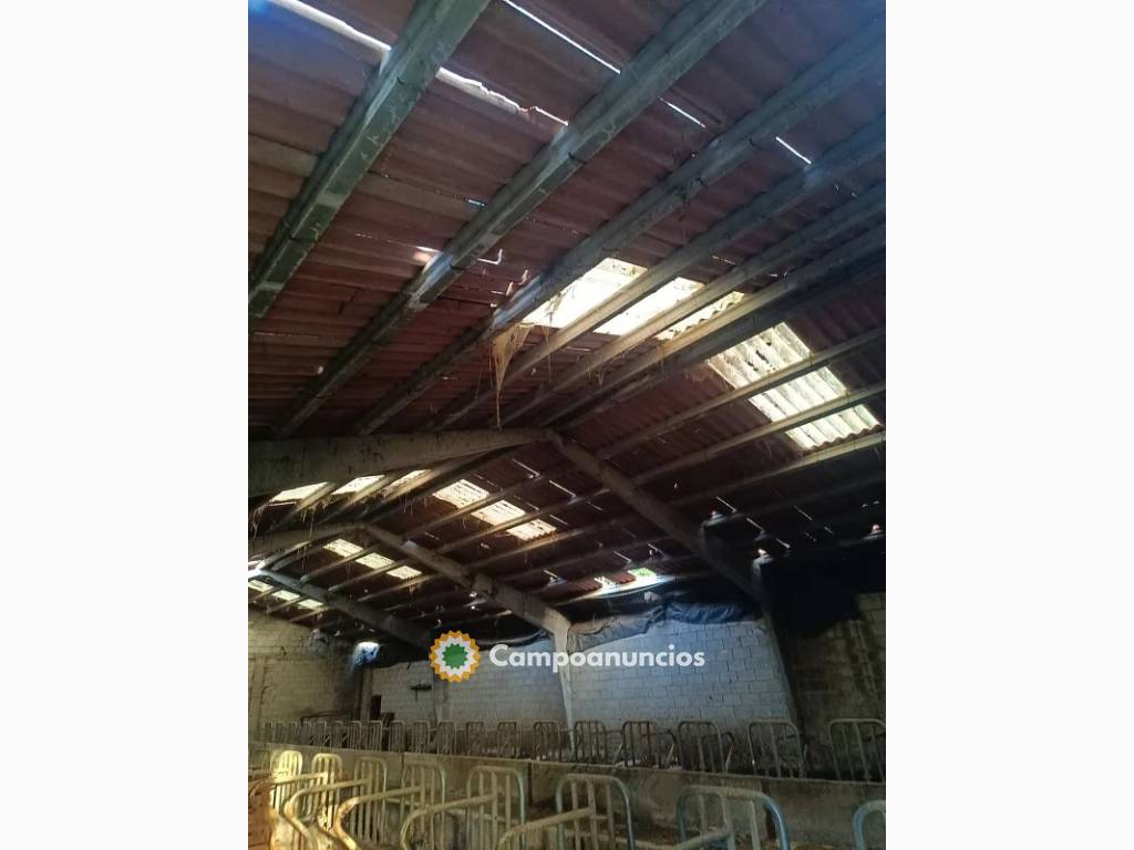 Venta de nave en calle Carraluz de 750 m en Asturias