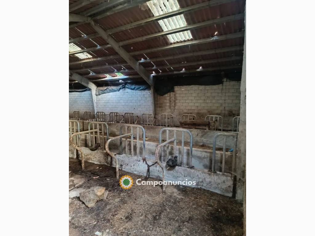 Venta de nave en calle Carraluz de 750 m en Asturias