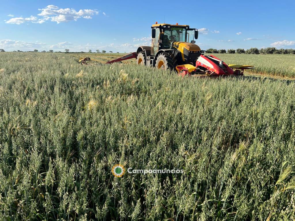 Venta de paja y forrajes en Albacete