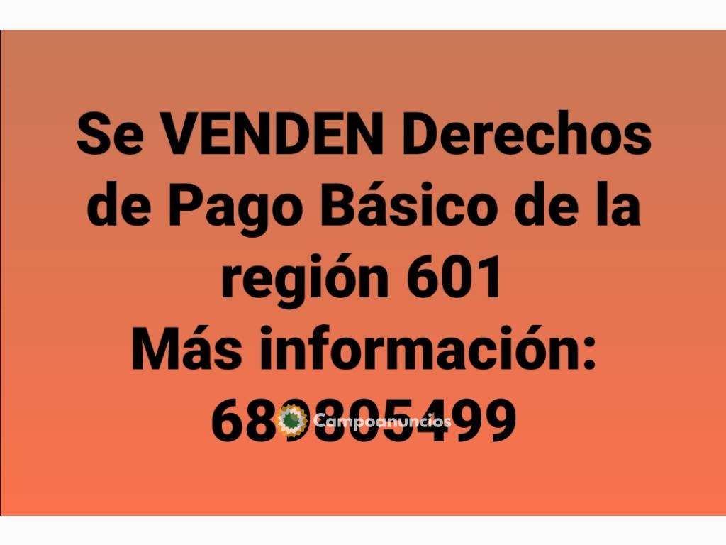 VENTA Derechos de Pago Básico región 601 en Cuenca